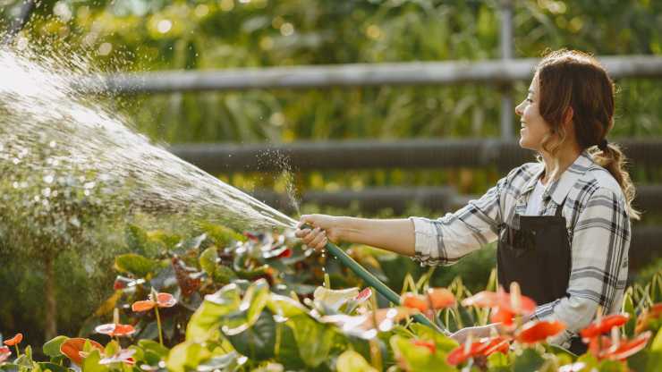 troppa acqua alle piante