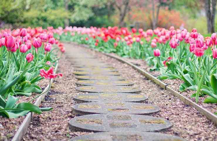 Giardino come pulire