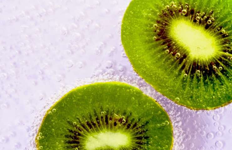 kiwi