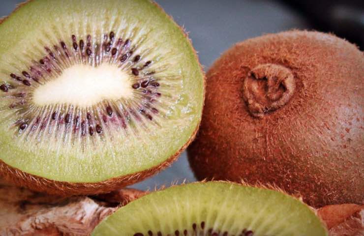 kiwi