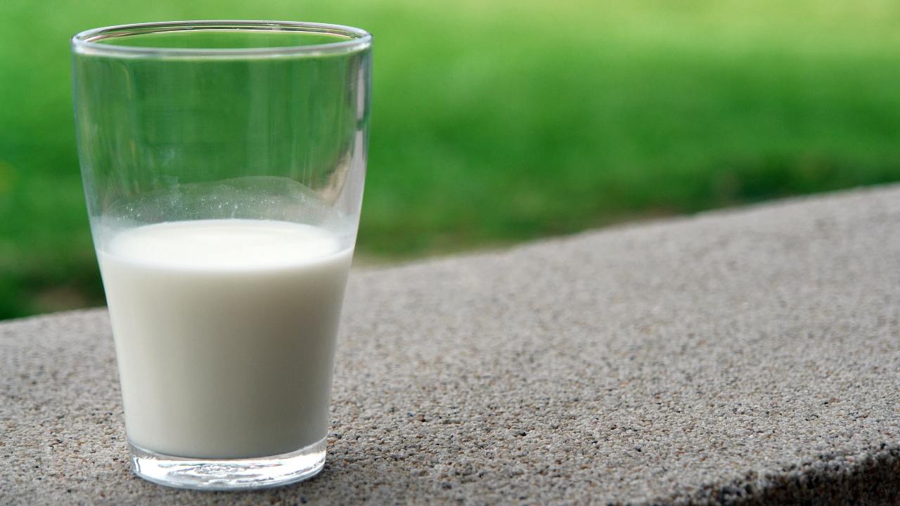aumento prezzi latte