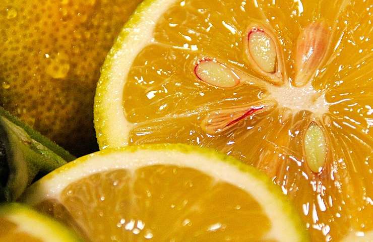 Limone microonde come fare