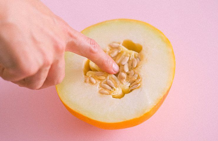 ricetta semi melone