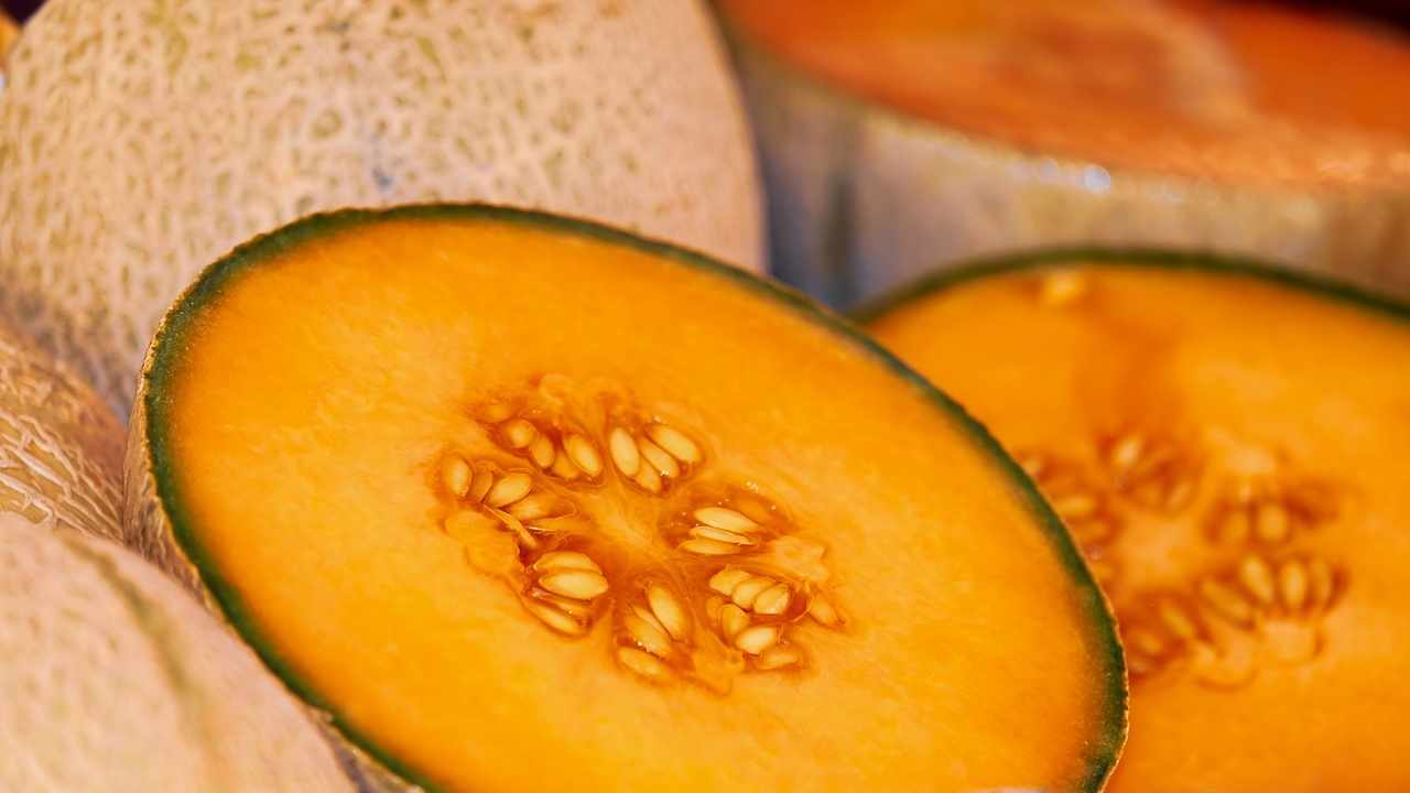 Melone o cocomero dieta