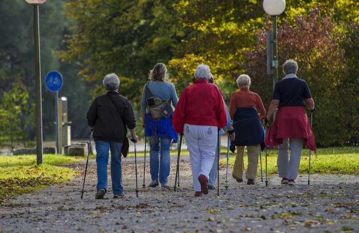 nordic walking disciplina