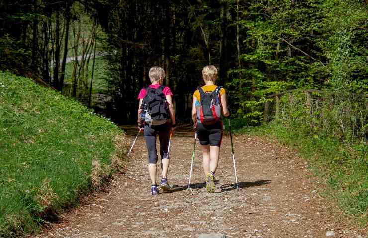 nordic walking perdita peso