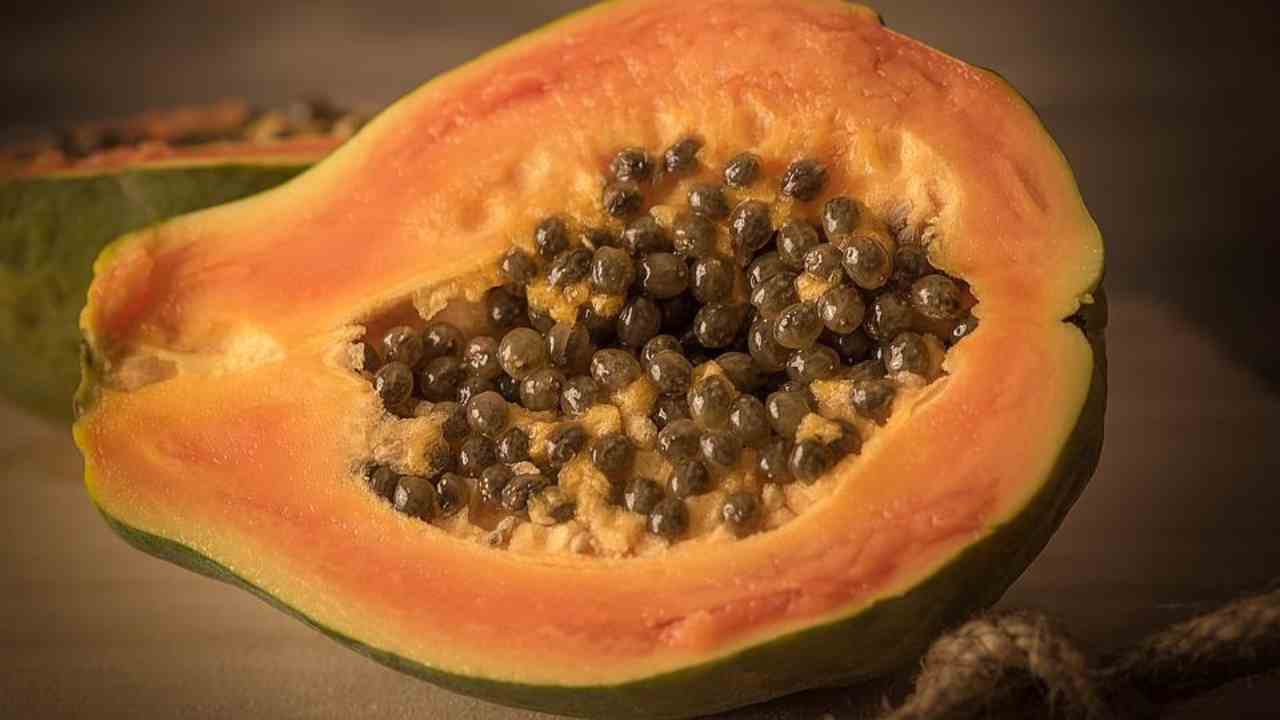 papaya proprietà intestino semi calorie