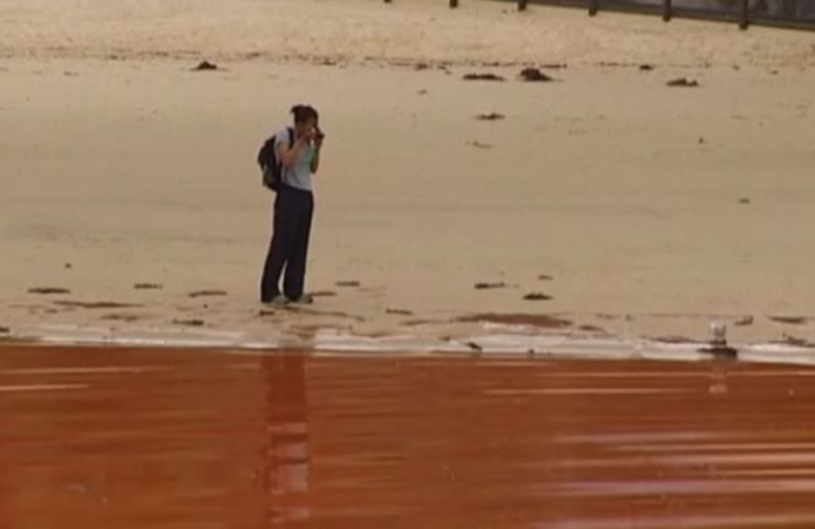Una donna fotografa il fenomeno su una spiaggia