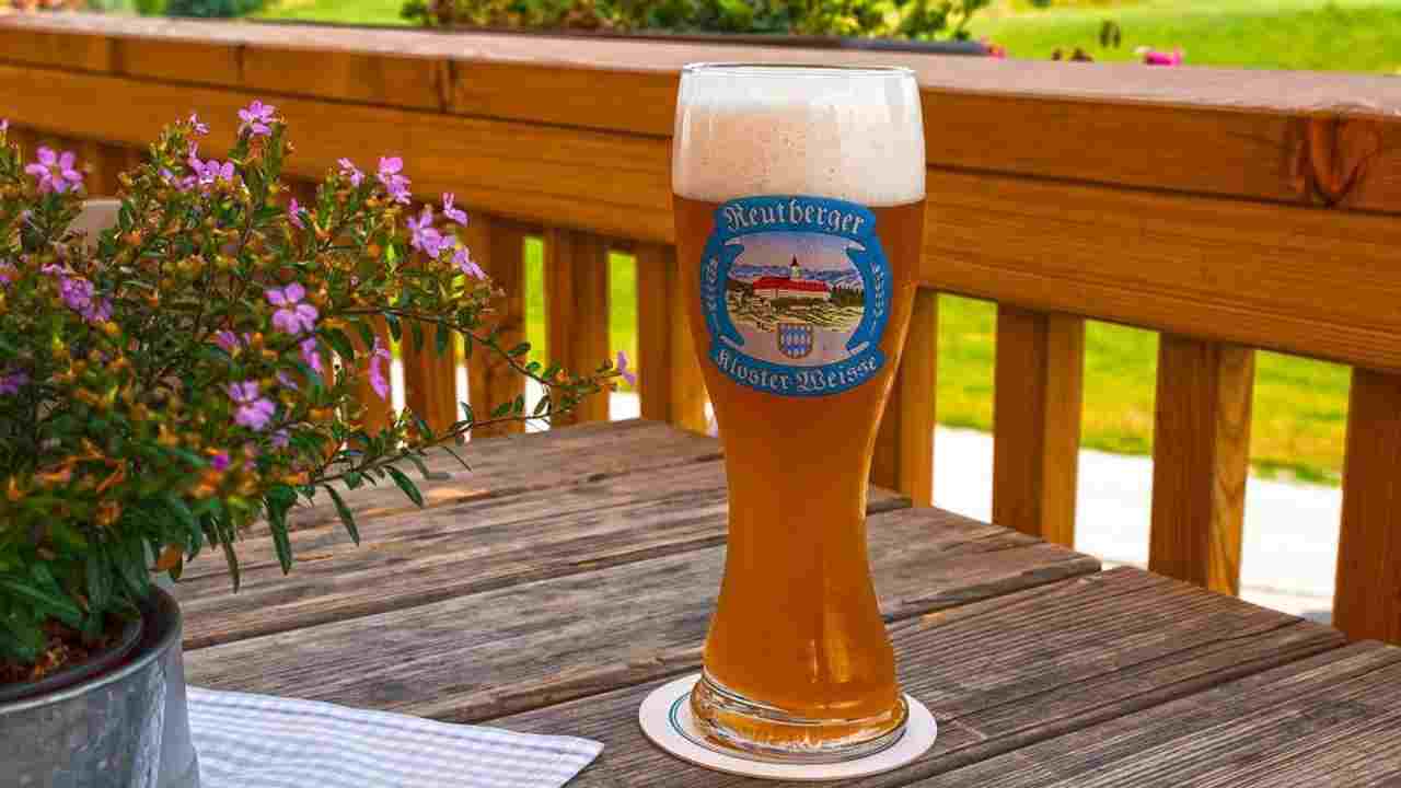 birra come fertilizzante piante metodo giardino