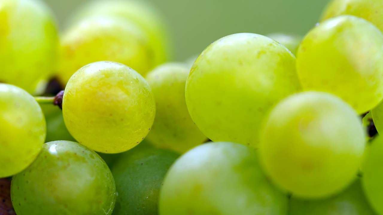 Come lavare l'uva