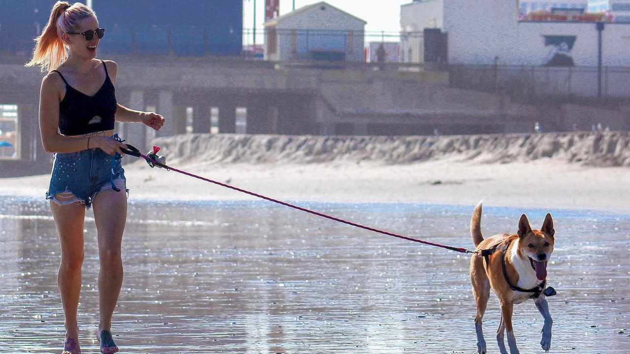 Walking con il cane