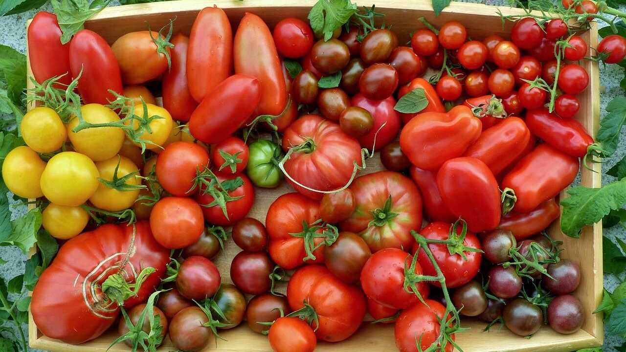 Frutta verdura agosto
