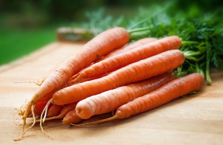 piatti base carote