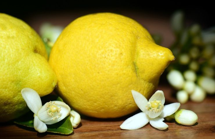 Limoni trattamenti evitare 