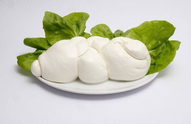 migliori marche mozzarella