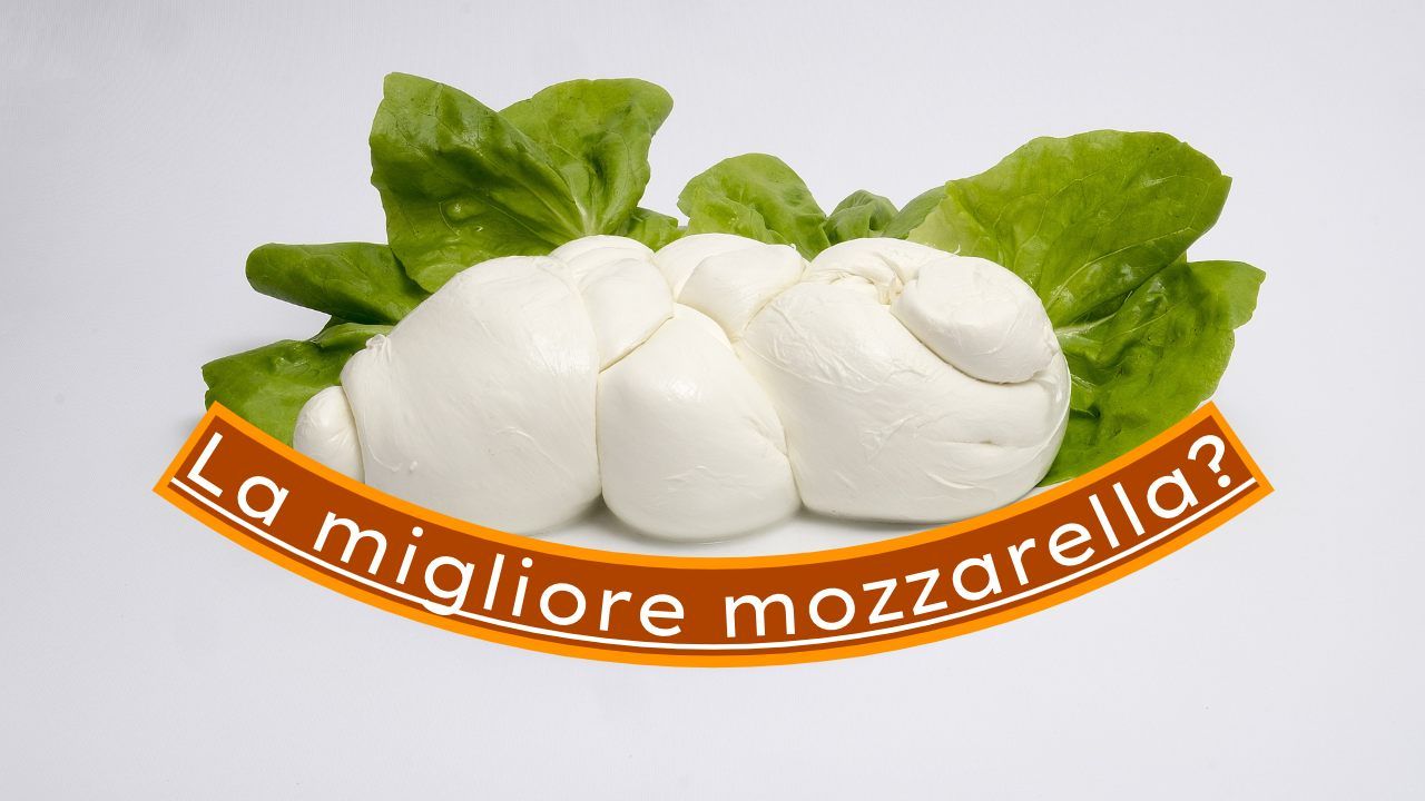 migliore mozzarella commercio