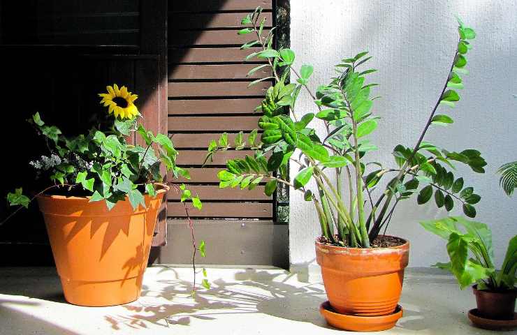 lavare superfici balcone