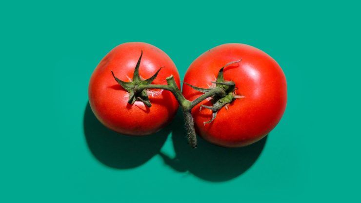 mangiare i pomodori