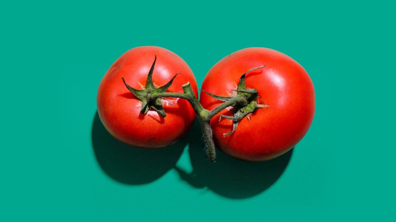 buccia pomodori