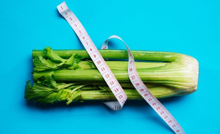 celery diet