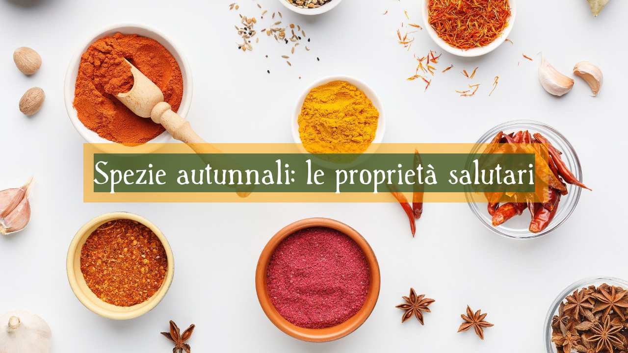 proprietà spezie autunno