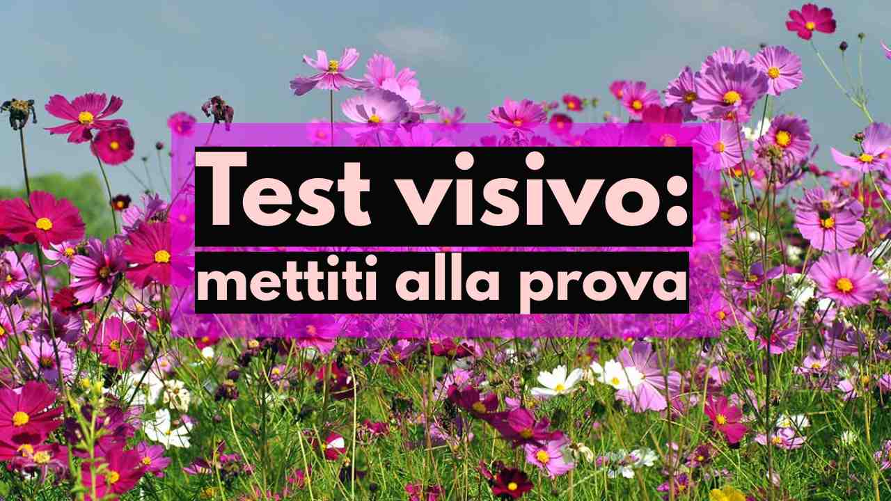 test visivo campo fiori