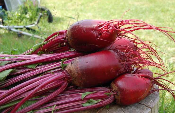 dieta perdere peso autunno