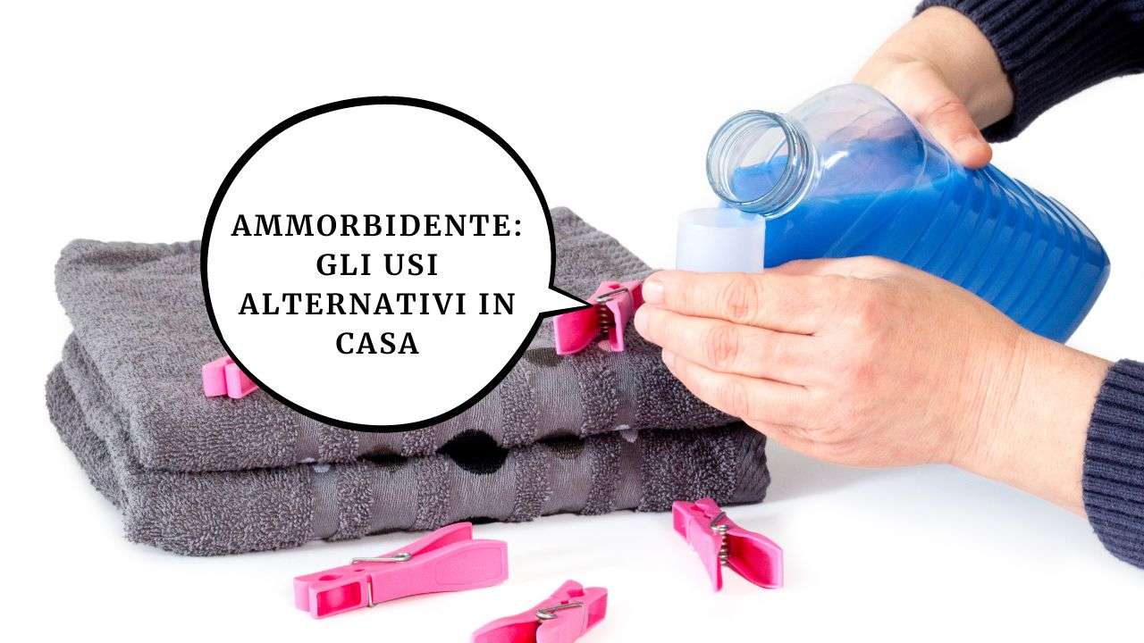 usi ammorbidente casa