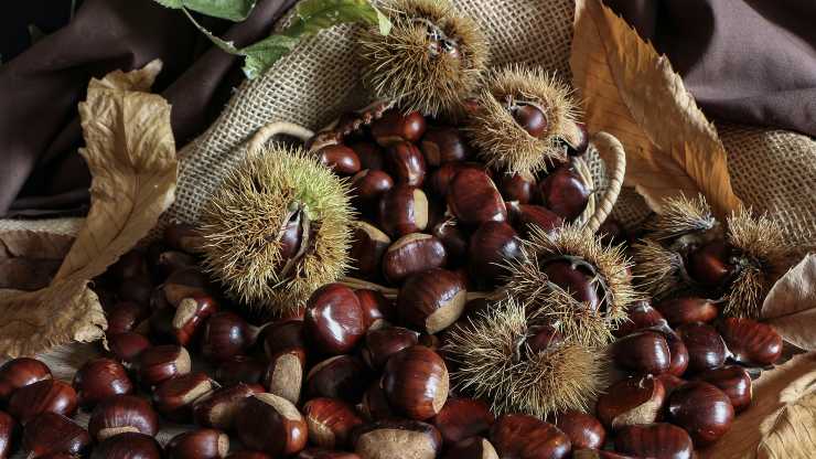 conservare a lungo castagne