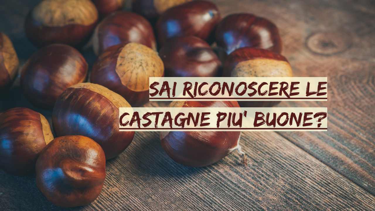 riconoscere castagne buone