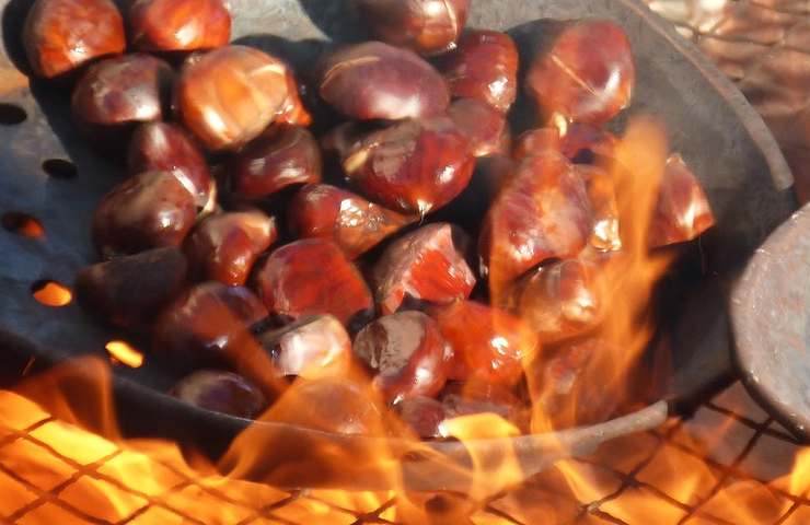 Castagne fuoco