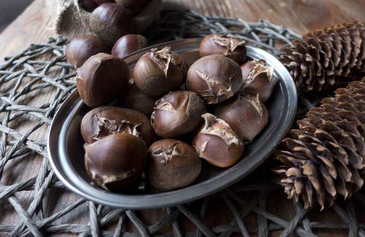 preparazione palle cioccolato castagne