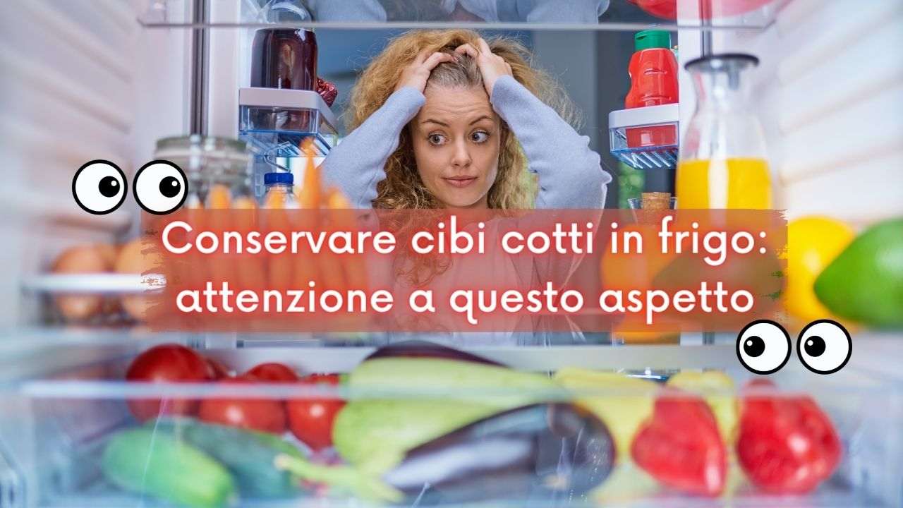 cibo cotto in frigo