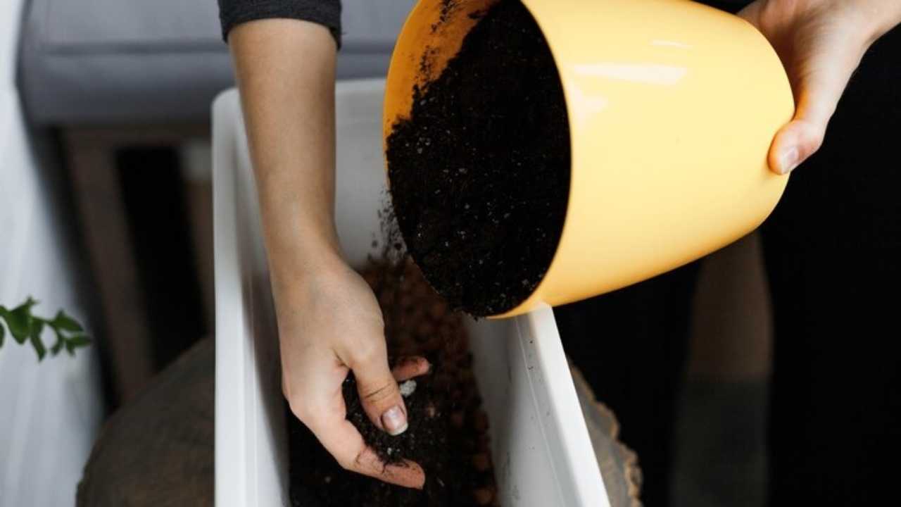 Come creare dei fertilizzanti naturali metodi fai da te casa