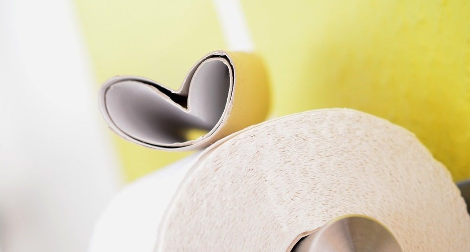 rotoli di carta igienica come riciclarli cosa creare