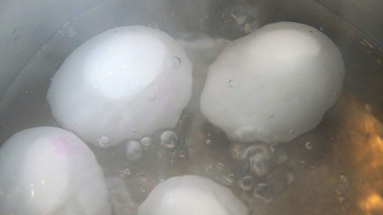 uova sode proprietà cottura piante