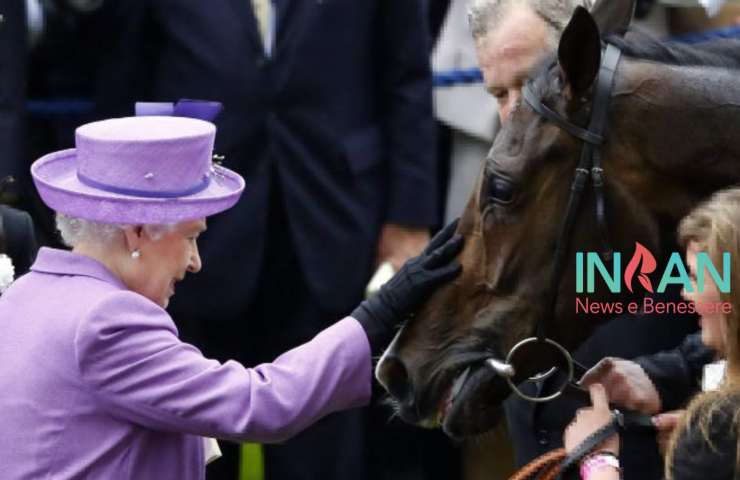 La regina mentre accarezza un cavallo