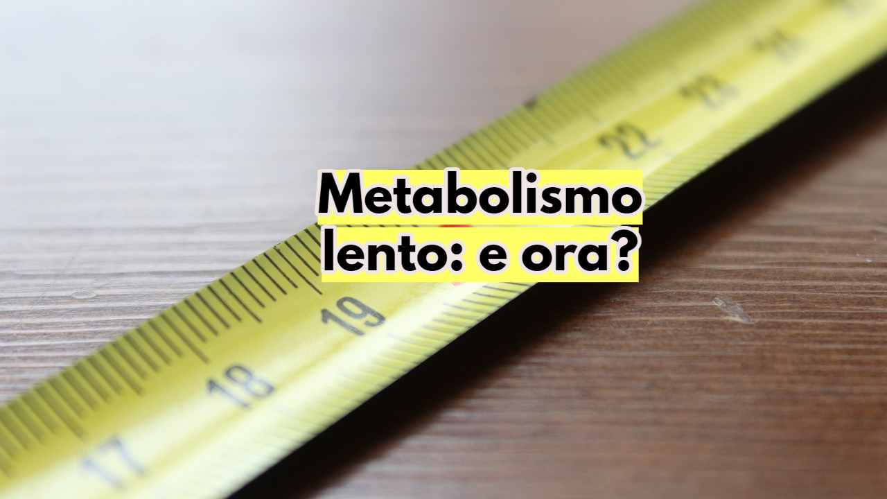 Metabolismo lento