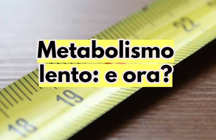 Metabolismo lento 