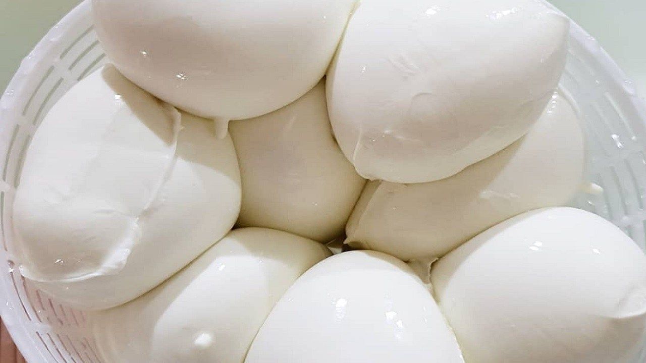 Mozzarella di Bufala 6 trucchi per riconoscere quella autentica