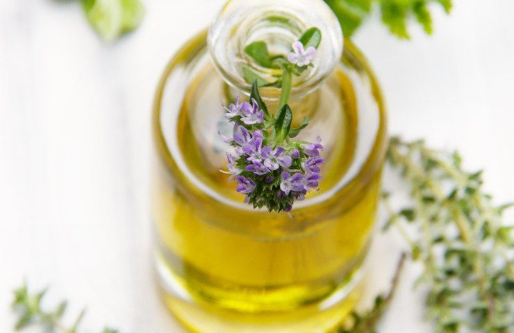 seasonal ailments prevention of aromatic herbs