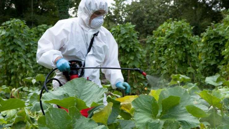 repellente insetti fatto in casa