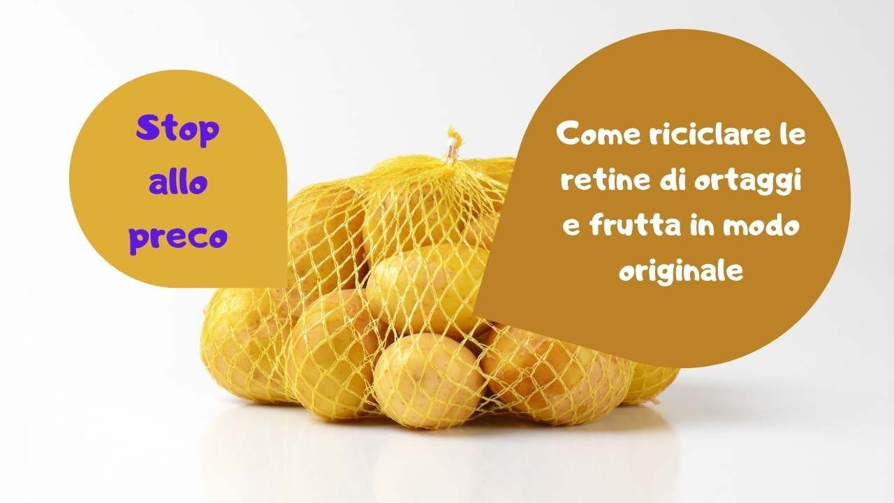 riciclo retine frutta verdura