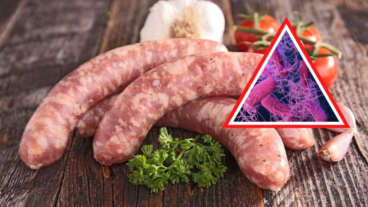 richiamo alimentare salmonella