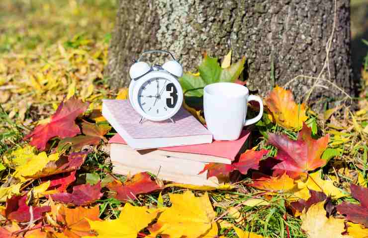 Scorcio di un giardino in autunno