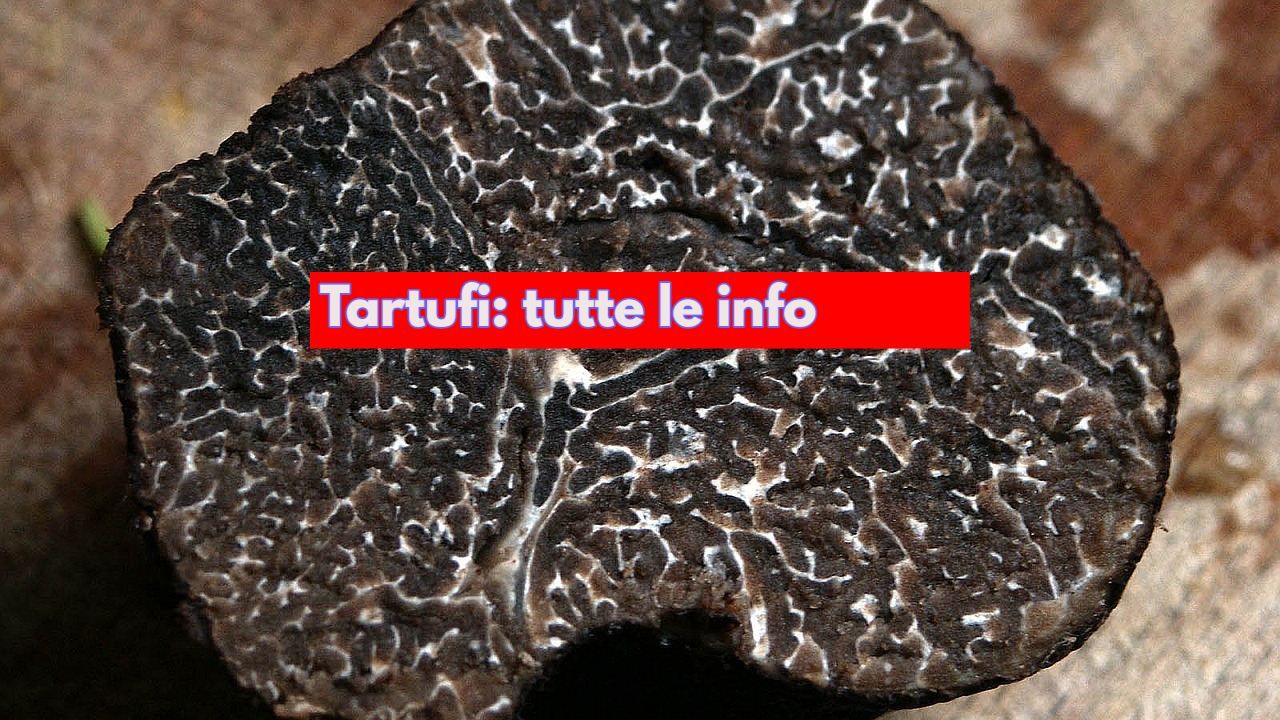 Tartufo varietà