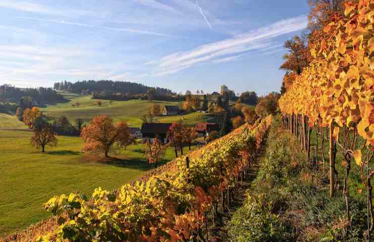 Un ampio spazio verde in autunno