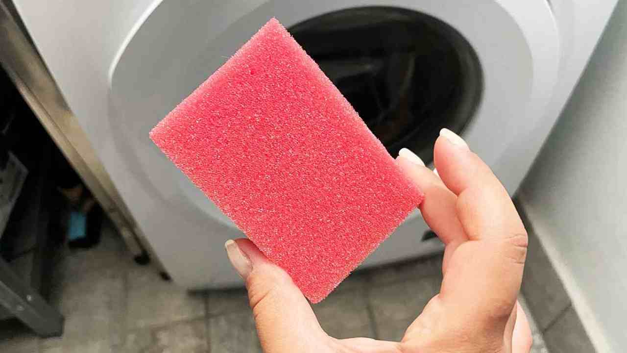spugnetta in lavatrice a cosa serve perché metterla