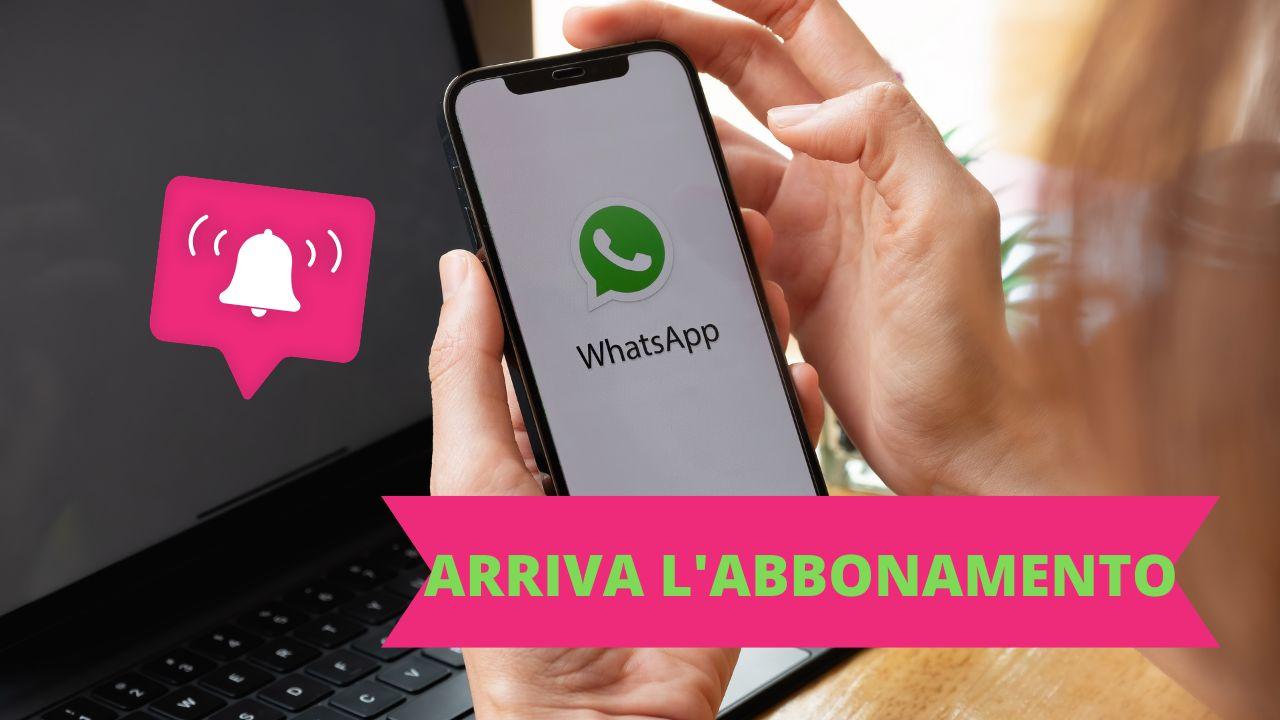 WhatsApp abbonamento dettagli