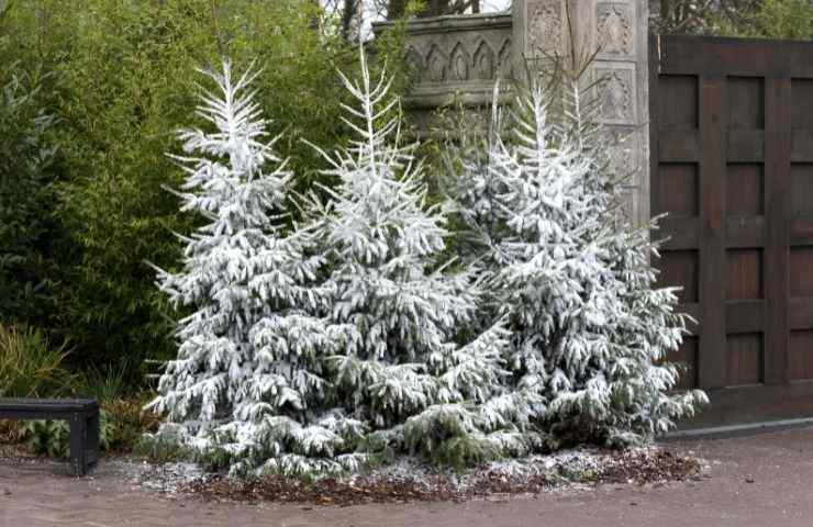 albero Natale neve artificiale
